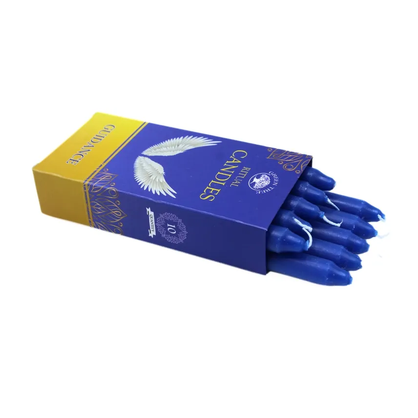 GTR Begeleiding A2.jpg.webp