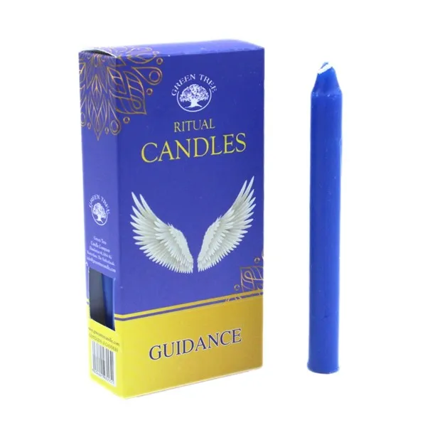 GTR Begeleiding A1.webp