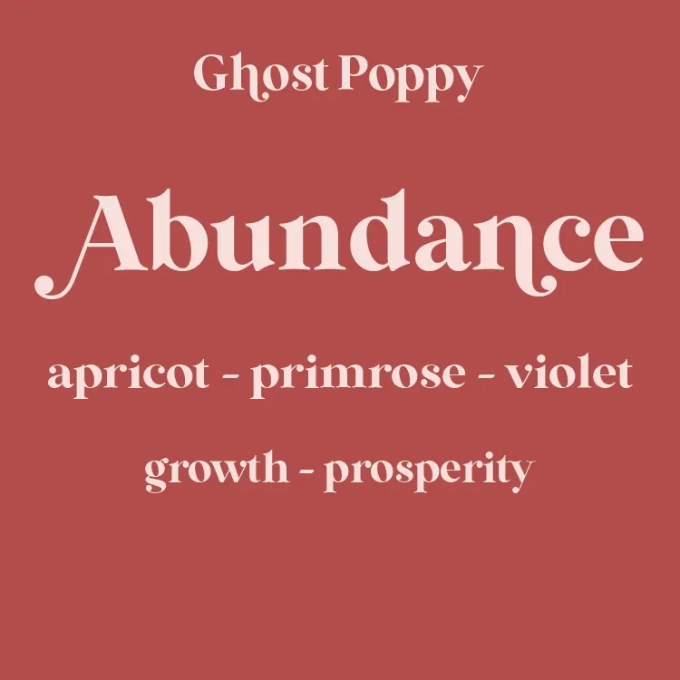 Abundance wierrook 2.webp