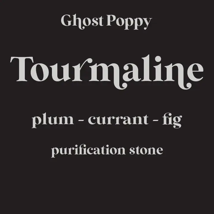 Zwarte toermalijn 1.webp