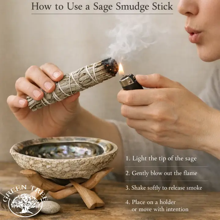 Green Tree Smudge stick witte Salie (Purification - Reiniging 15 cm)